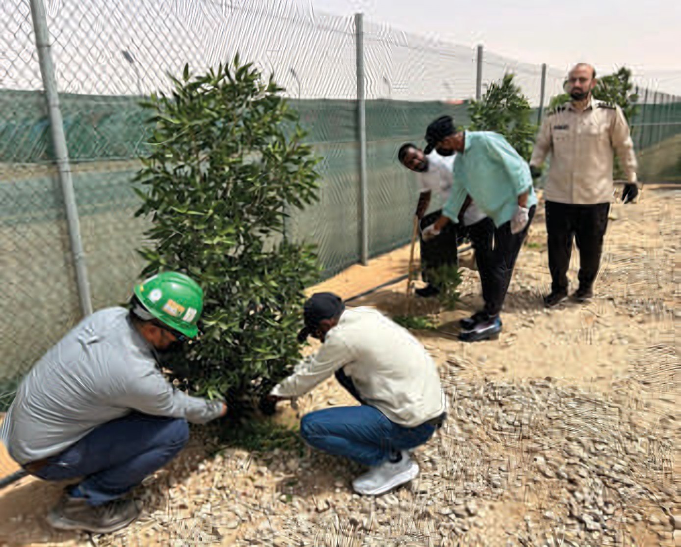 HUGRS Landscaping & Tree Planting
