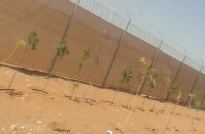 HUGRS Landscaping & Tree Planting - site photo 2