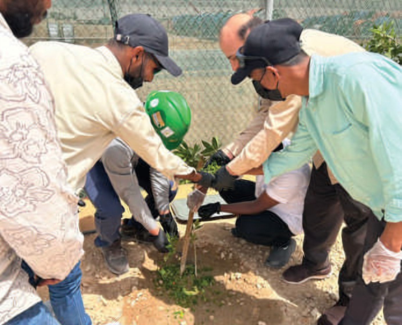 HUGRS Landscaping & Tree Planting - site photo 1